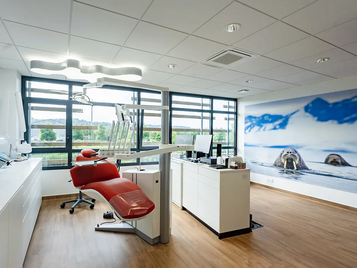 Revêtement mural #9